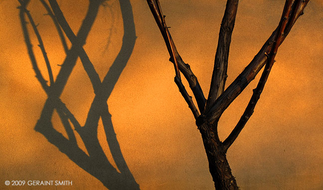 Light on the wall this spring day in Taos