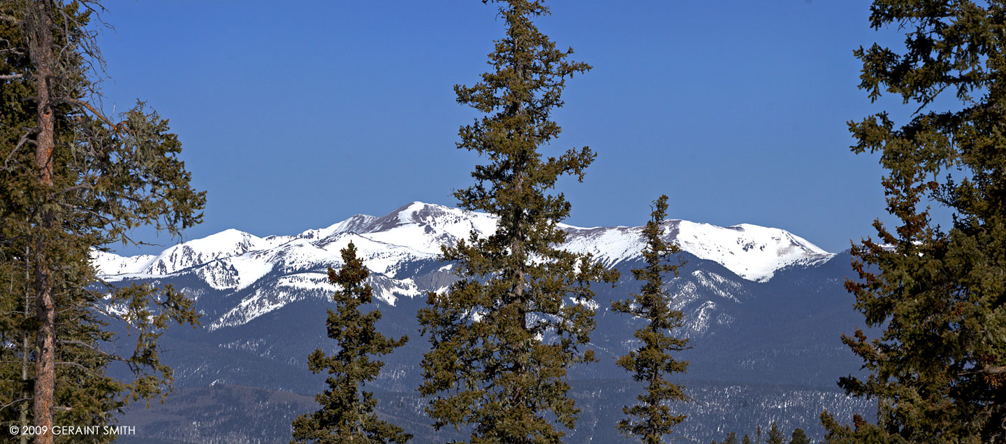 Wheeler Peak through the trees above Angel Fire