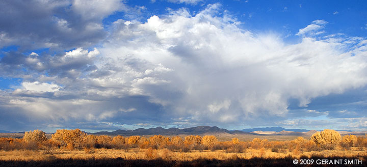 Fall in the Bosque del Apache, Socorro, NM