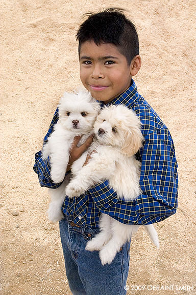 A boy and his dogs