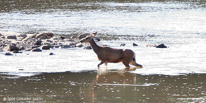 Crossing the Rio Chama