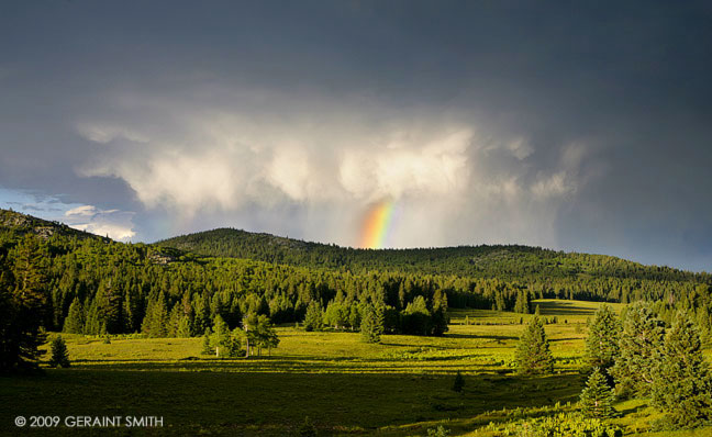 In a meadow off Highway 64, New Mexico