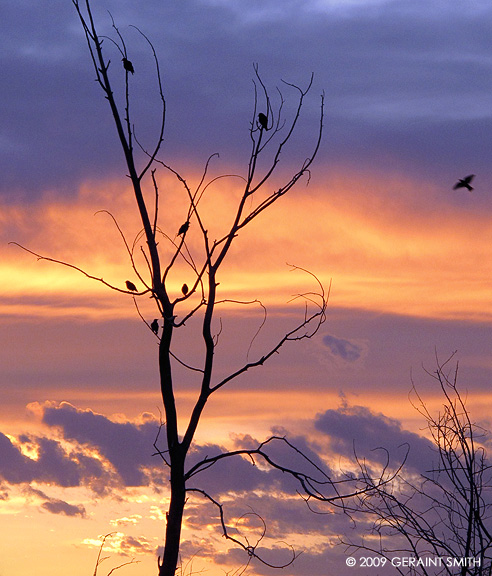 Gathering at sunset