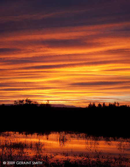 Sunrise in the Bosque del Apache, Socorro, NM