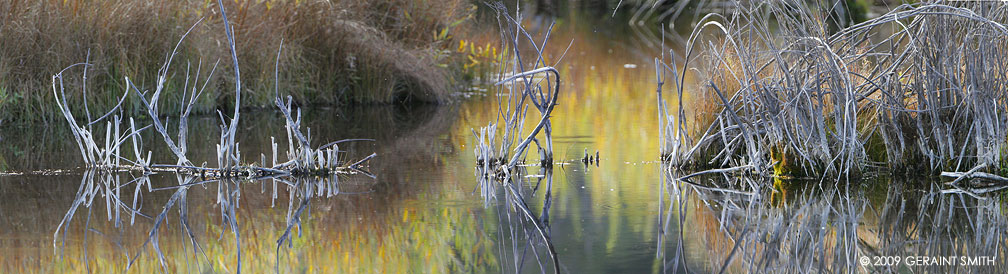 Riparian scene along the High Road to Taos