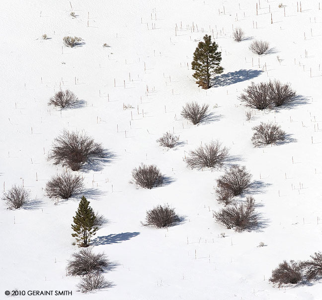 Hillside brush