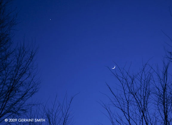 Crescent moon in the trees