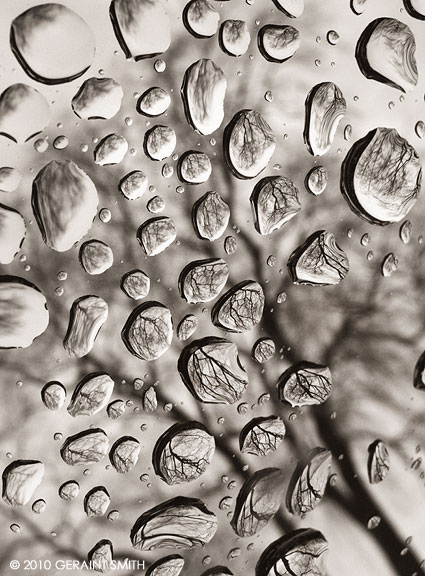 Rain drops on the windshield