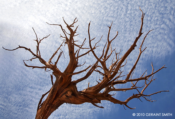 Looking up in Abiquiu nm