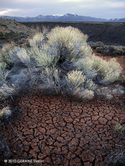 On the west rim of Rio Grande Gorge