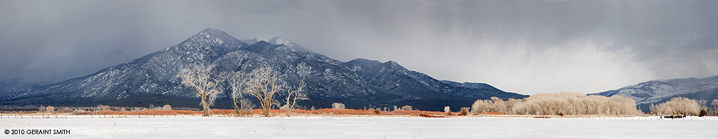 Mountains, willows and trees in El Prado, NM