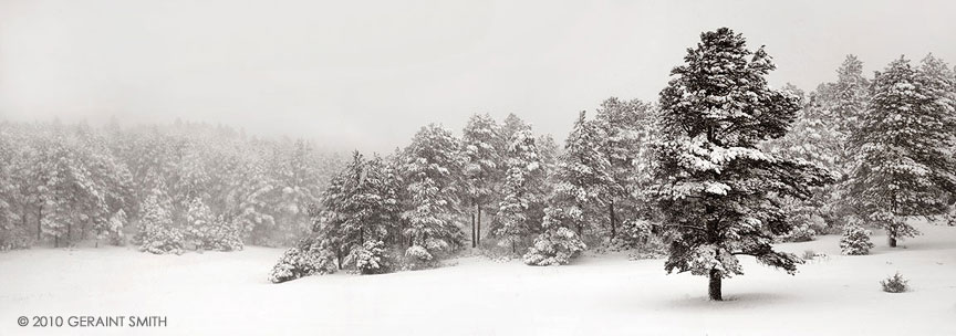 on the high road to Taos