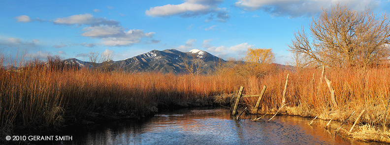 Evening light on a marsh with red willows, Taos, NM