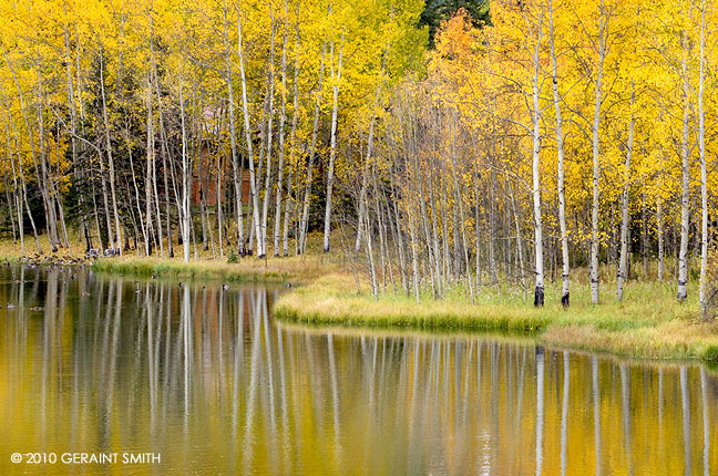 Aspens,angel fire, nm