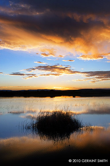 Bosque del Apache, NWR, NM