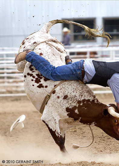 At the Taos Rodeo