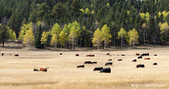 On the road to Chama, NM