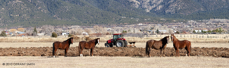 Plowing in Des Montes, NM