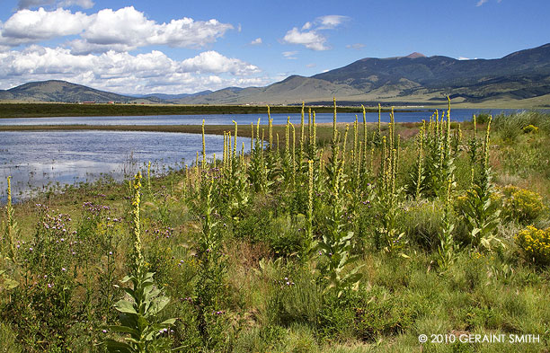 Back on the shoreline of Eagle Nest Lake in northern NM