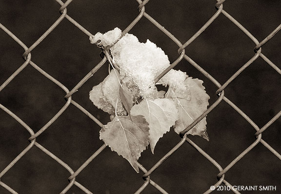 On the fence