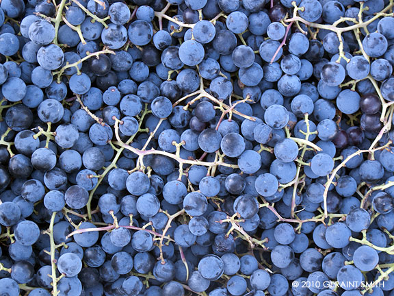 Grapes at the Taos Farmers Market ... couldn't resist another harvest photo!