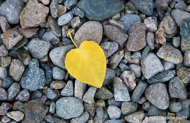 Fall on the Rio Grande