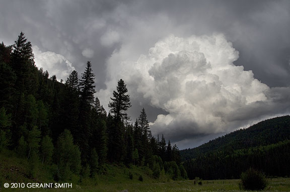 Storm brewing 