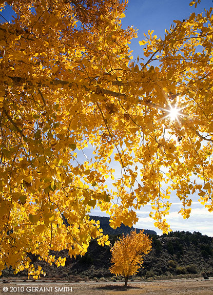 Fall in the Rio Grande Gorge, Pilar, NM