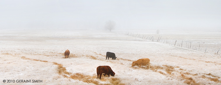 Ranchos Valley morning