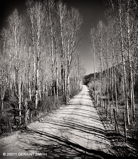 Aspen lane ... late spring