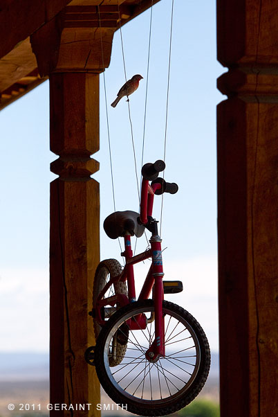 Bird and a bike on a wire