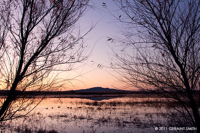 Marshes at the Bosque del Apache, NM