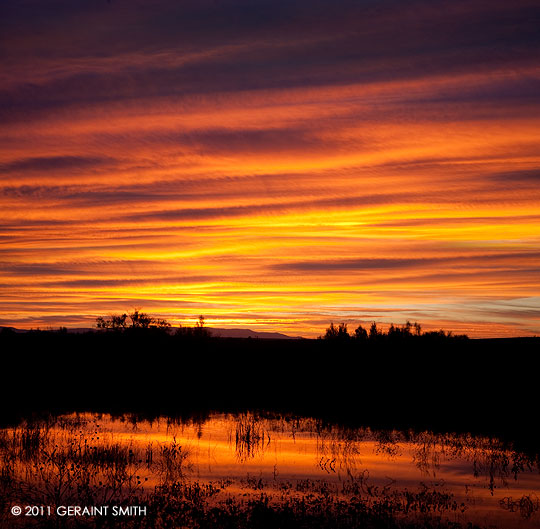 Sunrise in the Bosque del Apache, NM