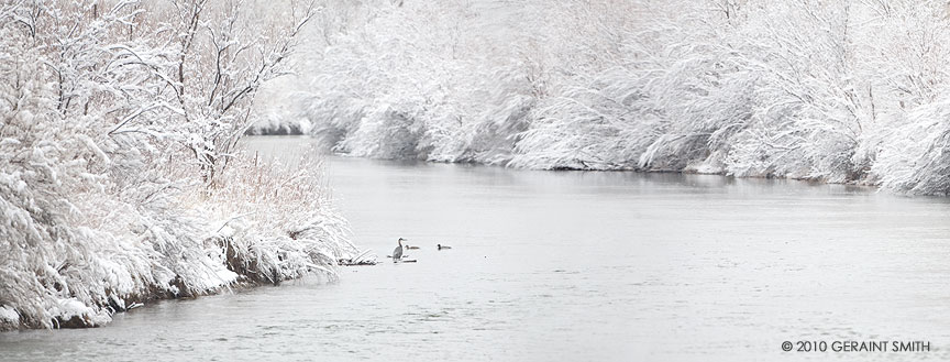 Winter on the Rio Grande