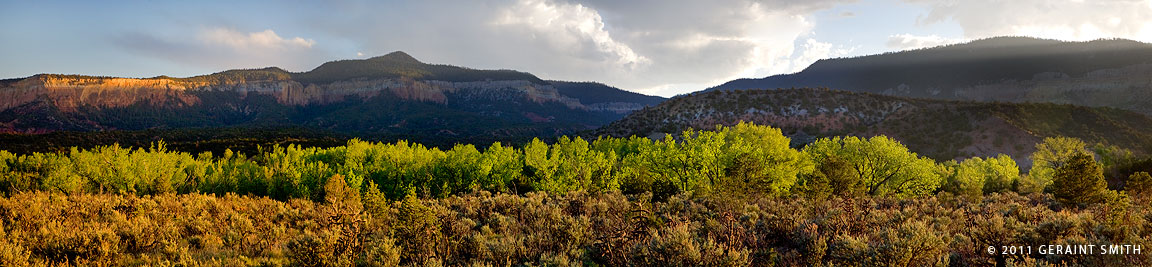 Bright green along the Chama River near Abiquiu