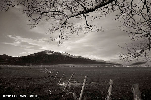 Taos Mountain meadow