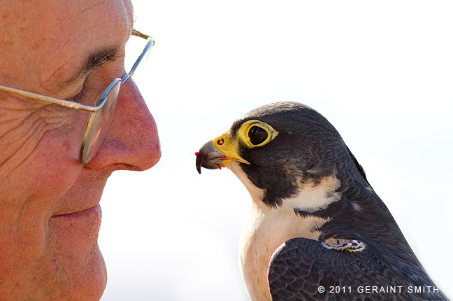 My friend Tony Huston and his Peregrine falcon
