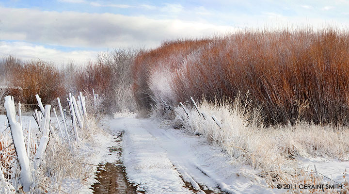 Willow Road