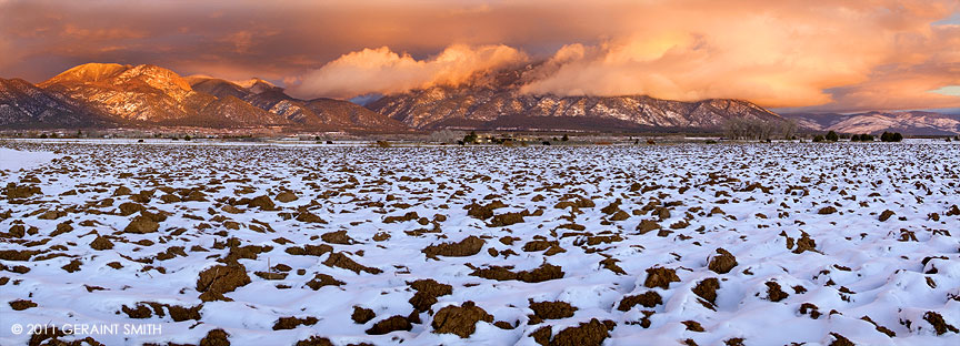 Across the winter fields