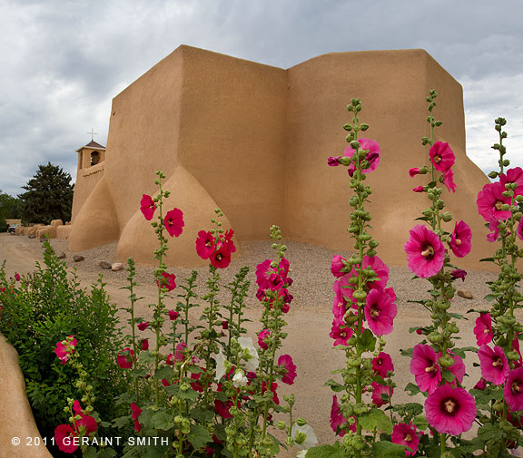 Hollyhocks abound in Ranchos de Taos