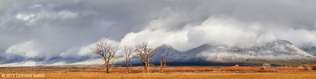 Cottonwoods, willows and Taos Mountain