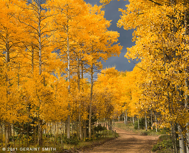 On the road in Garcia Park, NM