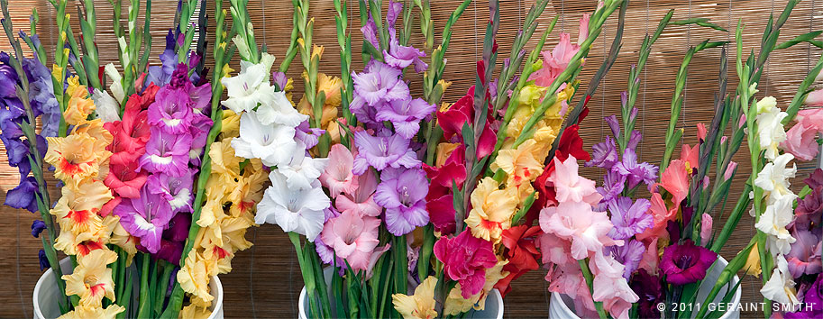 Buckets of "glads" at the Taos Farmers Market