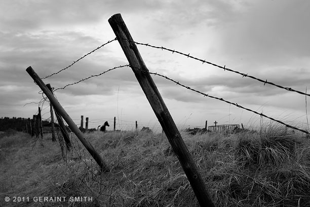 Fenceline Llano San Juan, NM