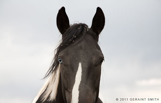 "Ole blue eye" Llano de San Juan on the high road to Taos