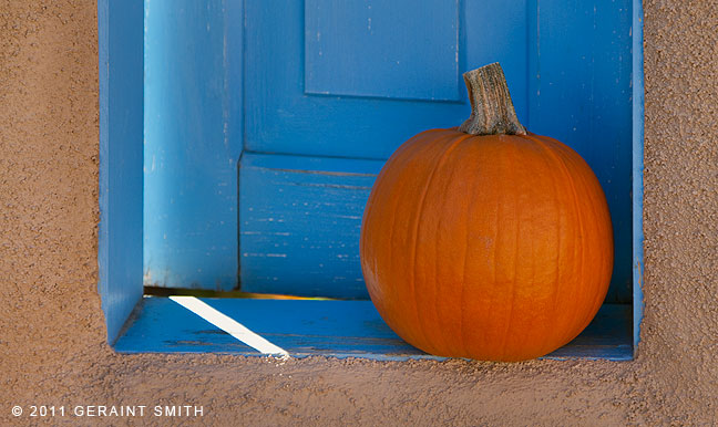 Taos Pumpkin!