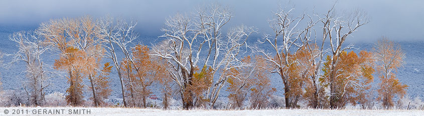 Snow fall colors