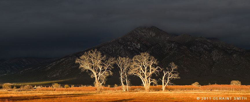 The continuing dance of the cottonwoods performance for the mountain