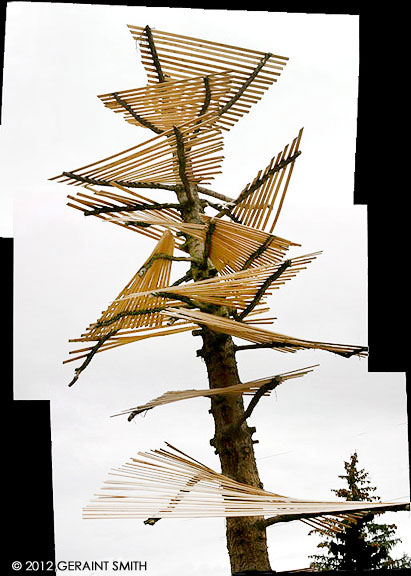 Tree sculpture Santa Fe