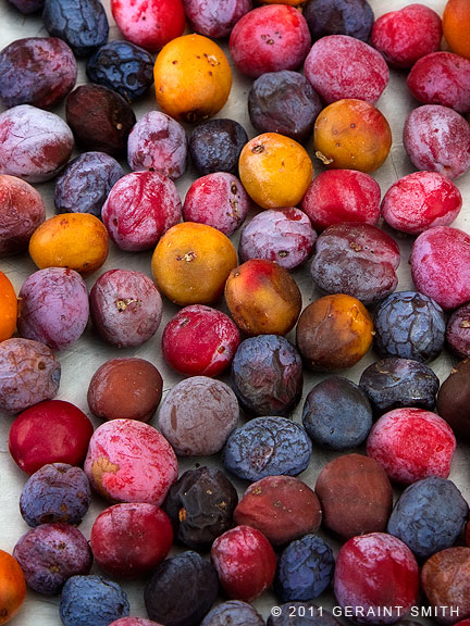 Drying wild plums to make a fruit compote